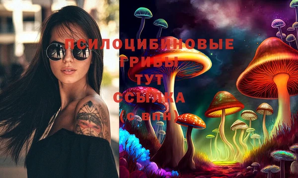 прущий лед Алексеевка