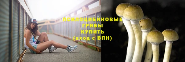 тгк Алексин