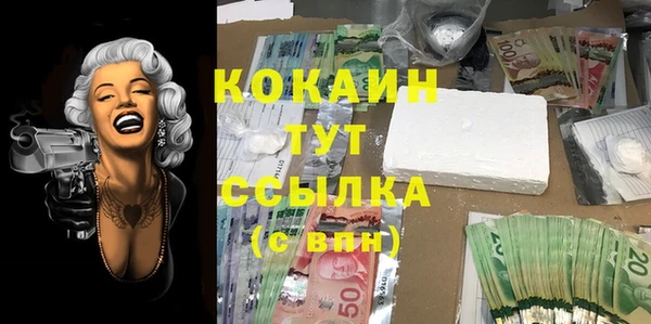 тгк Алексин