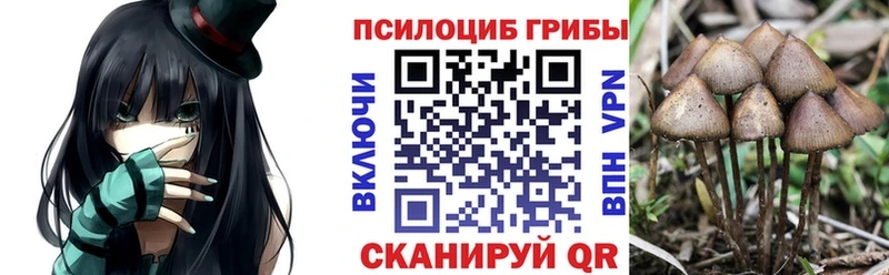 Галлюциногенные грибы MAGIC MUSHROOMS Калязин